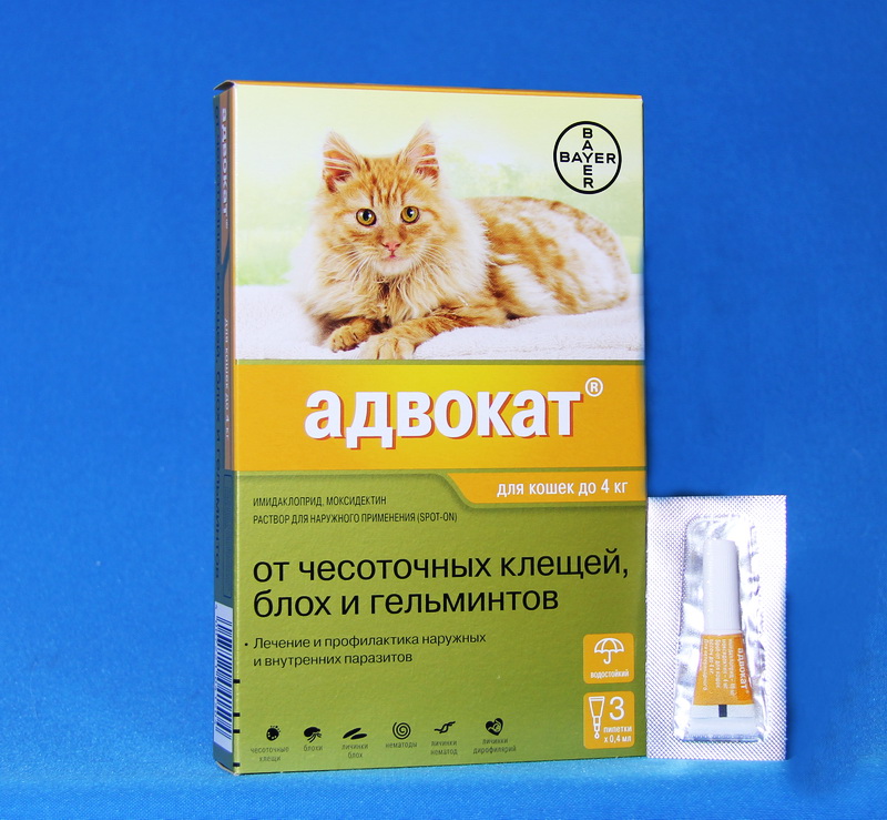 Купить Адвокат для кошек до 4 кг с доставкой в СПб