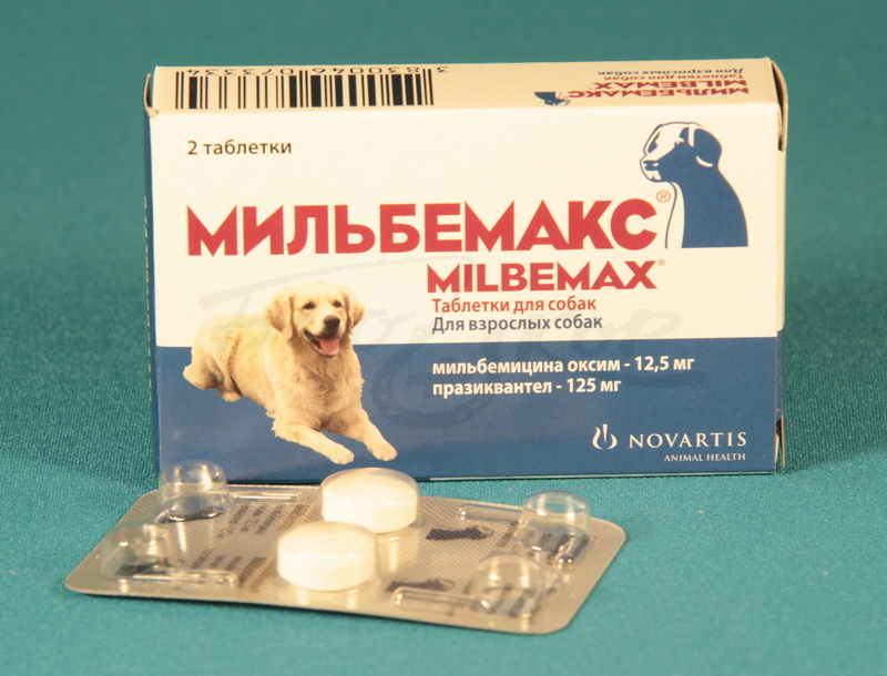 Собака мама таблетки
