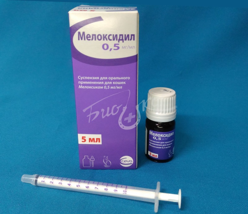 Мелоксидил суспензия 1.5. Мелоксидил 0.5 мг для кошек. Мелоксидил шприц 0,5 мг. Мелоксидил для кошек купить