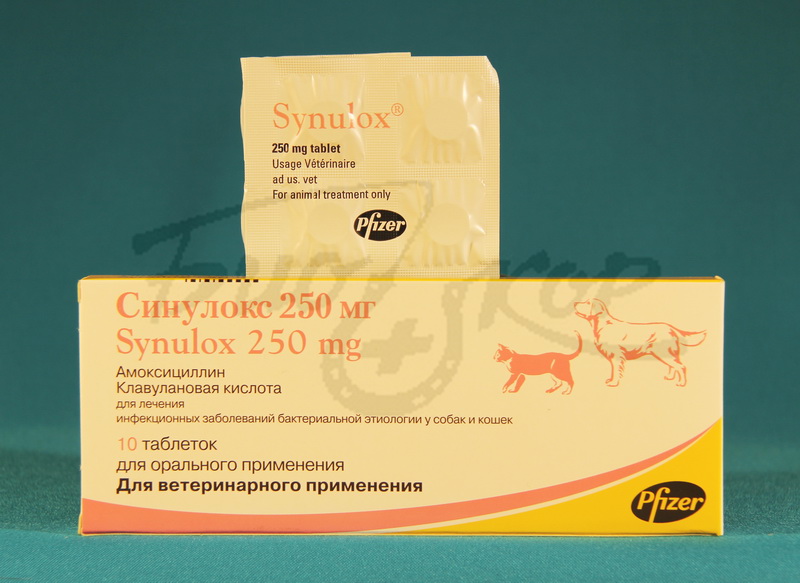Купить синулокс для собак 500. Синулокс 500 мг. Синулокс табл n10, 500 мг. Синулокс 500 мг, таблетки, №10. Синулокс 1000 мг.