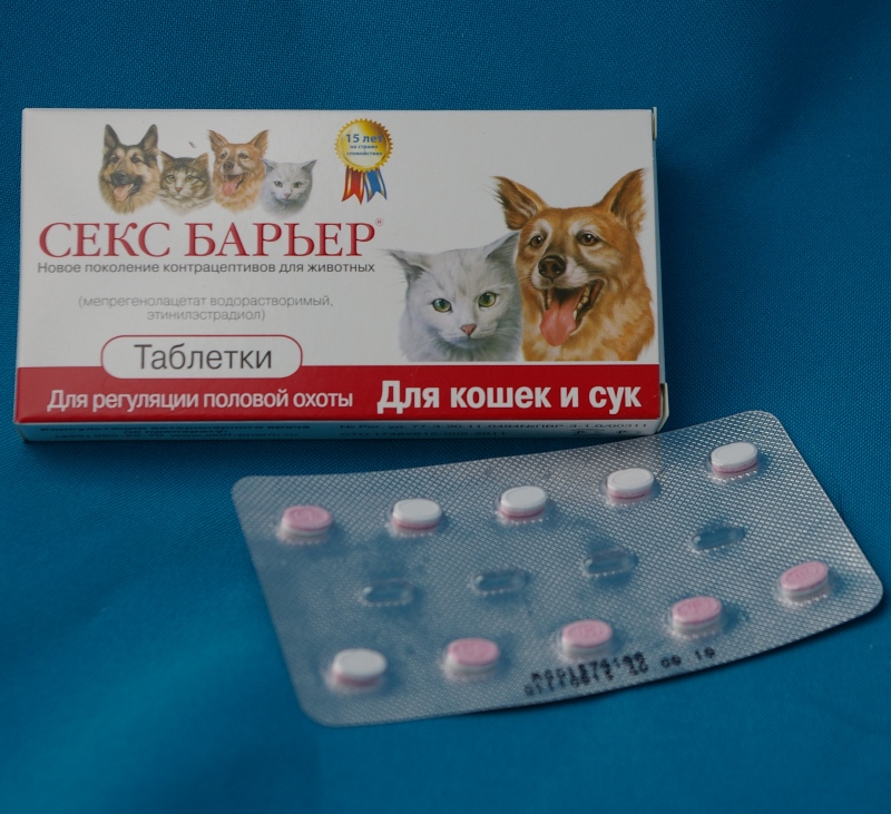 Купить лекарства кошки. Таблетки сексбарьер для кошек. Гормональные таблетки для кошек. Гормональные контрацептивы для кошек. Таблетки для регуляции половой охоты у кошек.