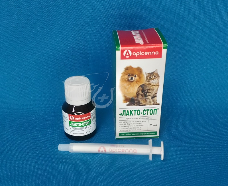 Лактостоп для кошек
