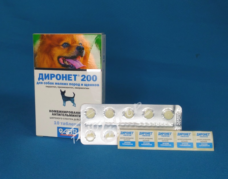 Диронет 200 для собак. АВЗ диронет 200 таблетки для собак мелких пород и щенков. Диронет для собак мелких пород таблетки. Диронет 500 для собак средних пород. Купить диронет для собак